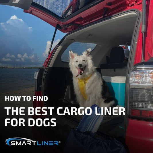 How to Find the Best Cargo Liner for Dogs